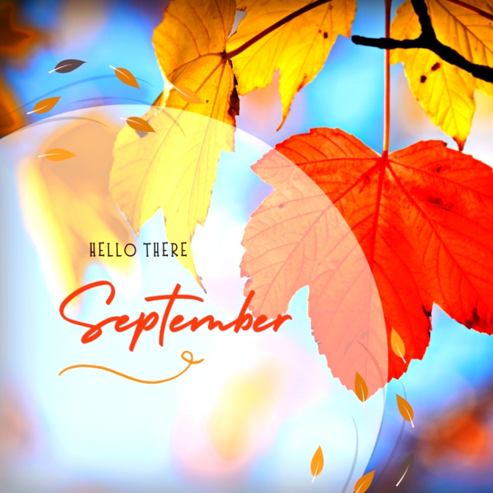 Minimum $15 - image 3